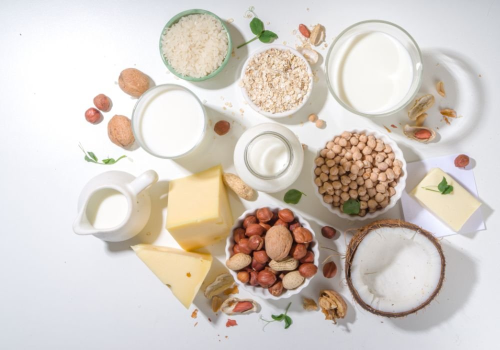 Dairy-Based Morning Bowls for dog